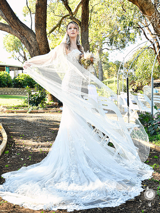 Bridal Obsessions