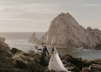 Fox & Wildling Photography
